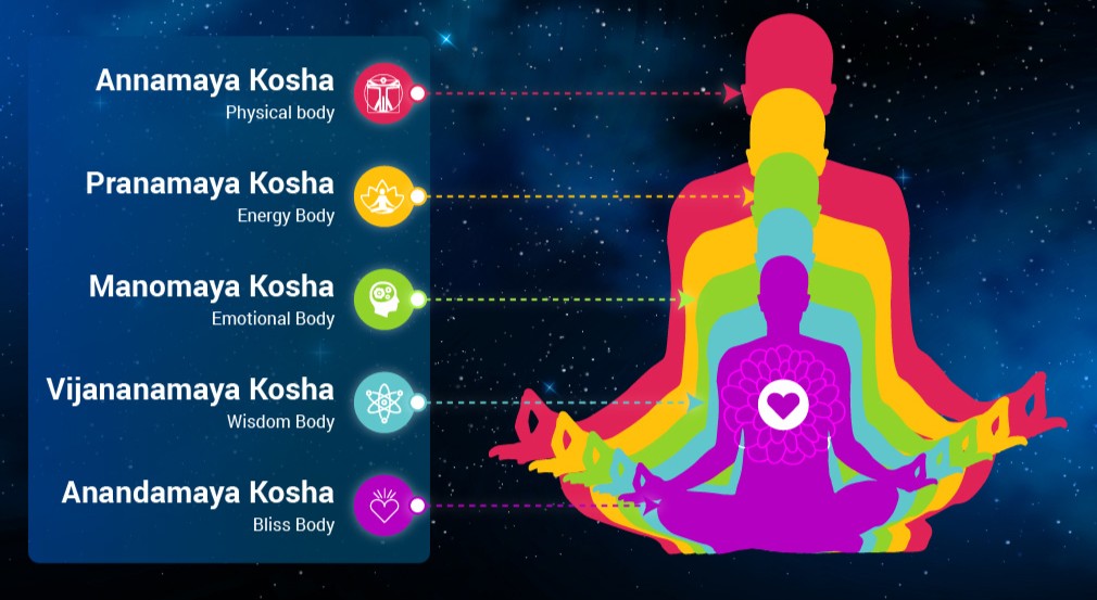 Yoga & Meditation Foundations