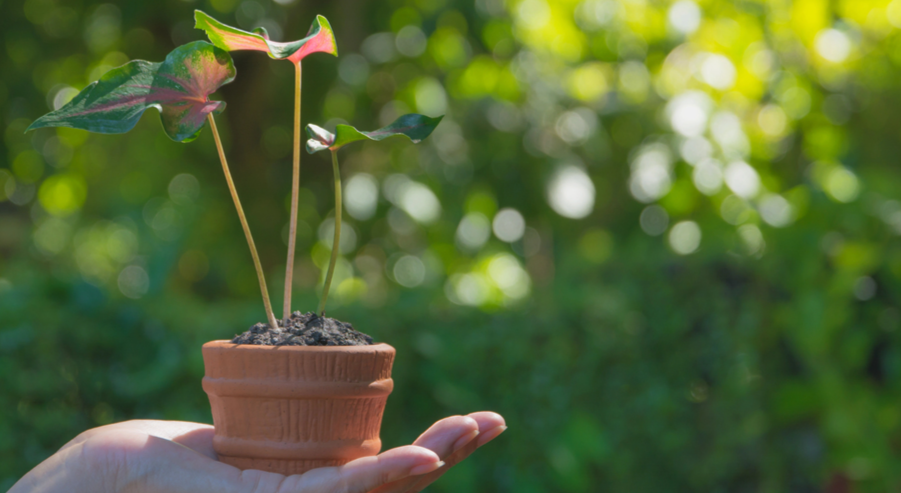 How to Grow a Therapy Practice Without Burning Out or Going Broke