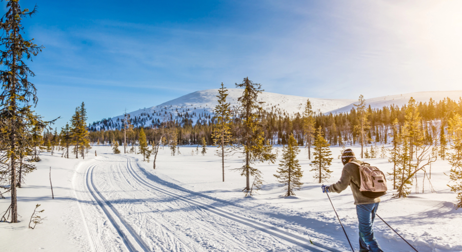 Health Benefits of Cross-Country Skiing: Body, Brain, and Mood
