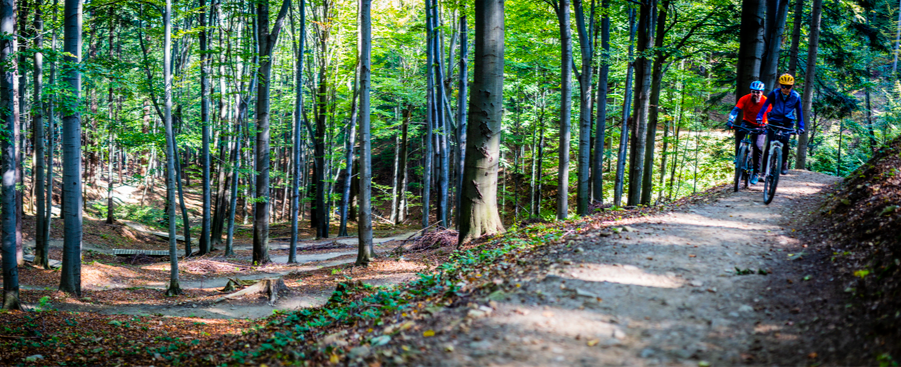 The Health Benefits of Gravel Cycling: A Psychiatrist’s Guide to Body, Brain, and Mood