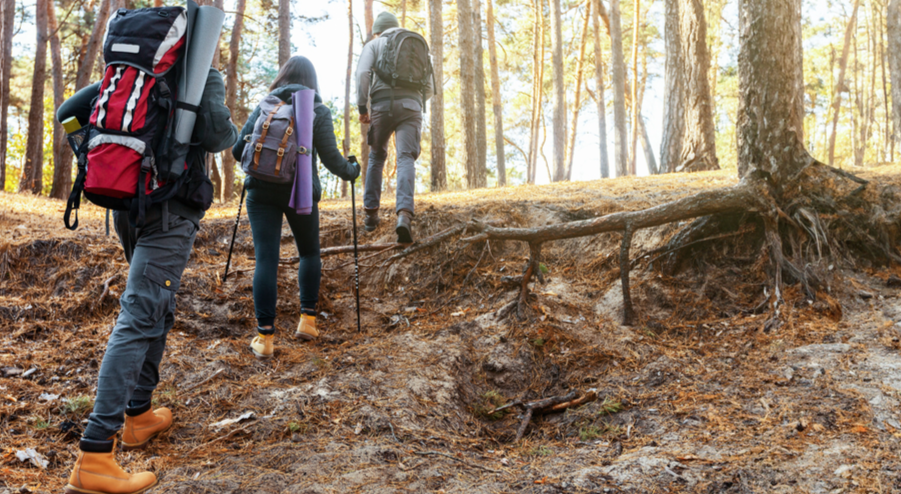 The Health Benefits of Hiking: A Psychiatrist’s Guide to Mind, Body, and Mood